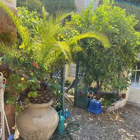 Appartamento Jardin D'Eden Saint-Raphaël Esterno foto